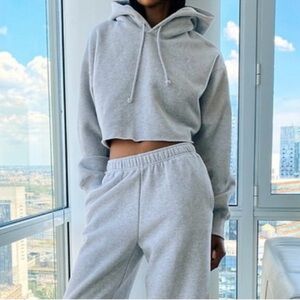 Aritzia Tna COZYAF boyfriend cropped fleece sweatshirt